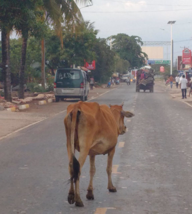 „Der Normale Verkehr“ in Phnom Penh